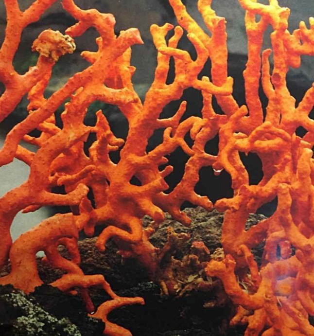 La Corte Di Angelica Sciacca Exteriör bild